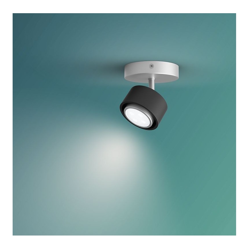Philips 50651/30/P0 - LED Akcentinis šviestuvas FERANO LED/4,3W/230V