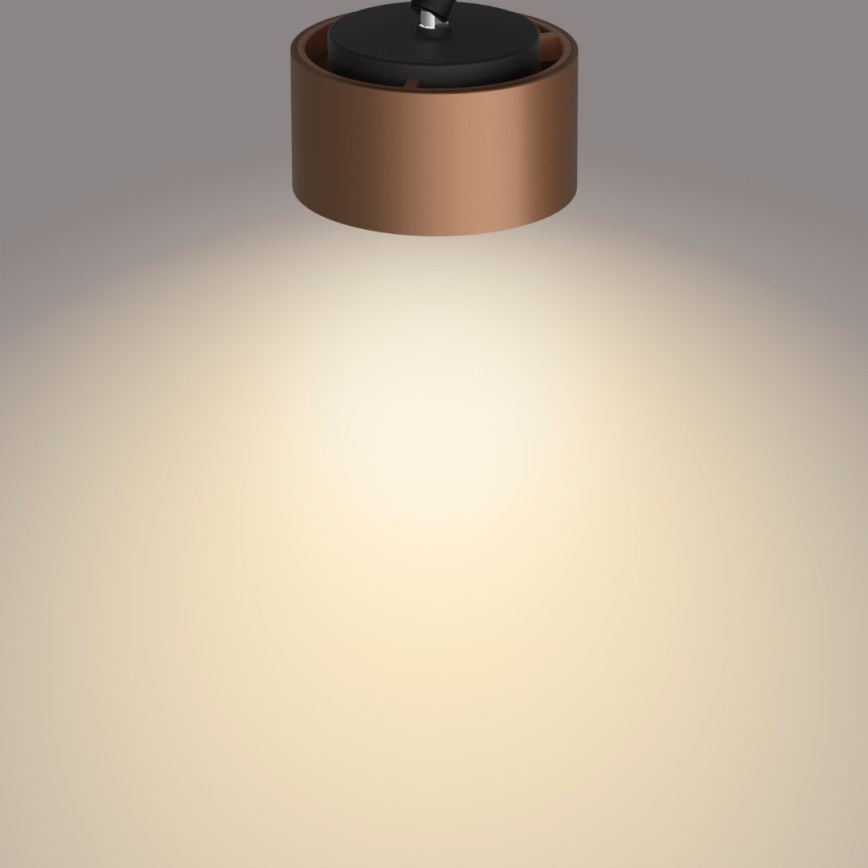 Philips 50653/05/P0 - LED Akcentinis šviestuvas FERANO 3xLED/4,3W/230V
