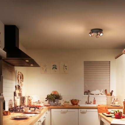 Philips 50653/05/P0 - LED Akcentinis šviestuvas FERANO 3xLED/4,3W/230V