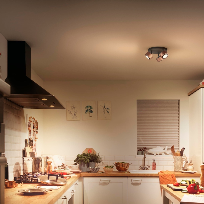 Philips 50653/05/P0 - LED Akcentinis šviestuvas FERANO 3xLED/4,3W/230V