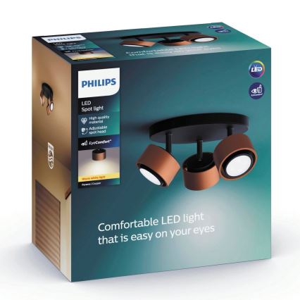Philips 50653/05/P0 - LED Akcentinis šviestuvas FERANO 3xLED/4,3W/230V