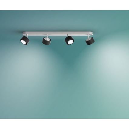 Philips 50654/30/P0 - LED Akcentinis šviestuvas FERANO 4xLED/4,3W/230V