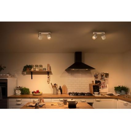 Philips - LED Pritemdomas akcentinis šviestuvas 2xLED/4.5W/230V