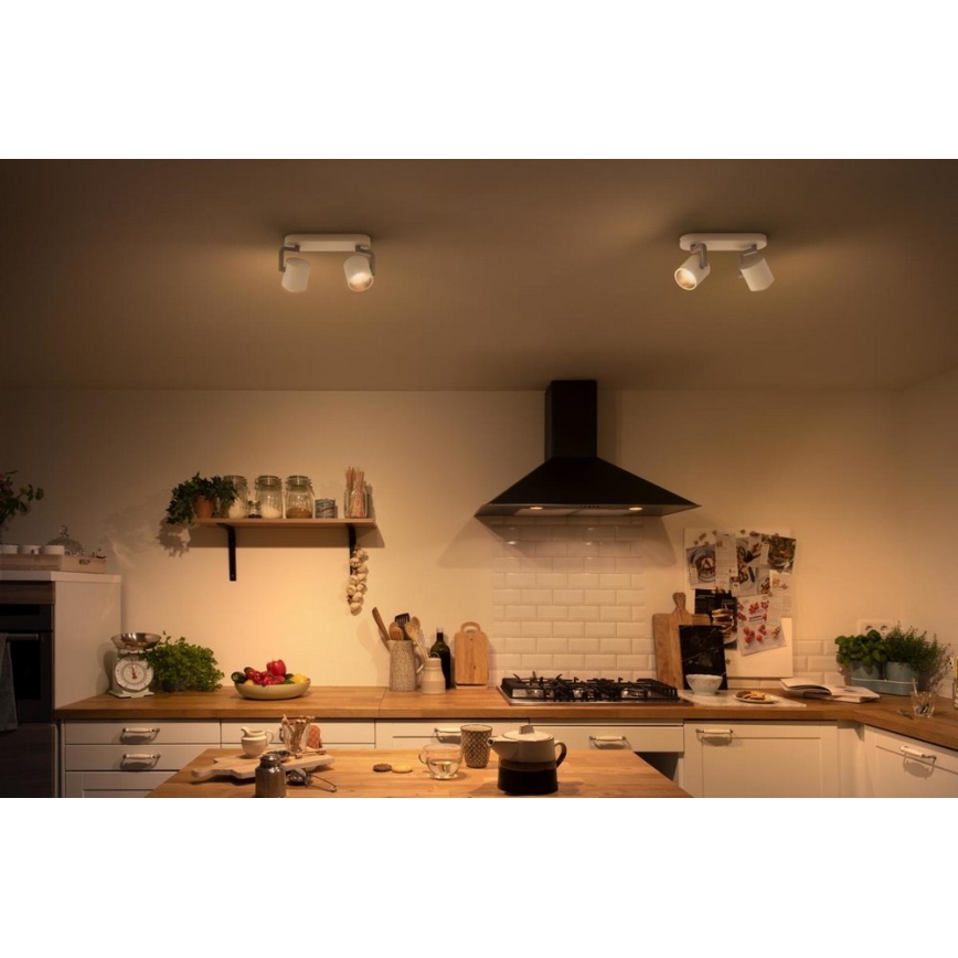 Philips - LED Pritemdomas akcentinis šviestuvas 2xLED/4.5W/230V