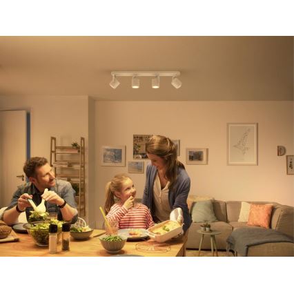 Philips - LED Pritemdomas akcentinis šviestuvas 4xLED/4.5W/230V