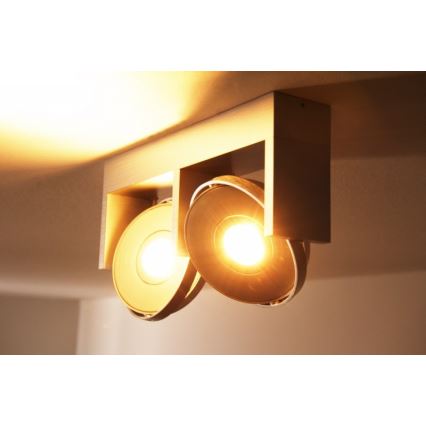 Philips 53152/48/16 - Akcentinis LED šviestuvas PARTICON 2xLED/7,5W