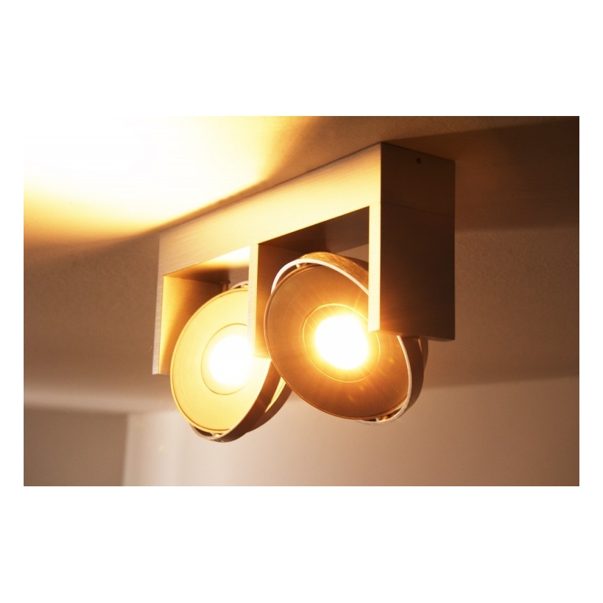 Philips 53152/48/16 - Akcentinis LED šviestuvas PARTICON 2xLED/7,5W