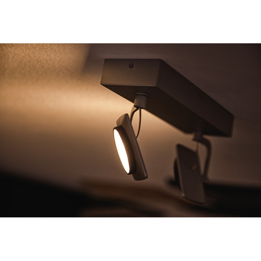 Philips 53192/48/P0 - LED akcentinis šviestuvas MILLENNIUM 2xLED/4,5W/230V