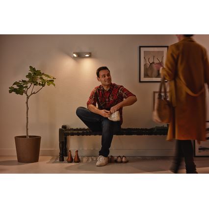 Philips 53192/48/P0 - LED akcentinis šviestuvas MILLENNIUM 2xLED/4,5W/230V