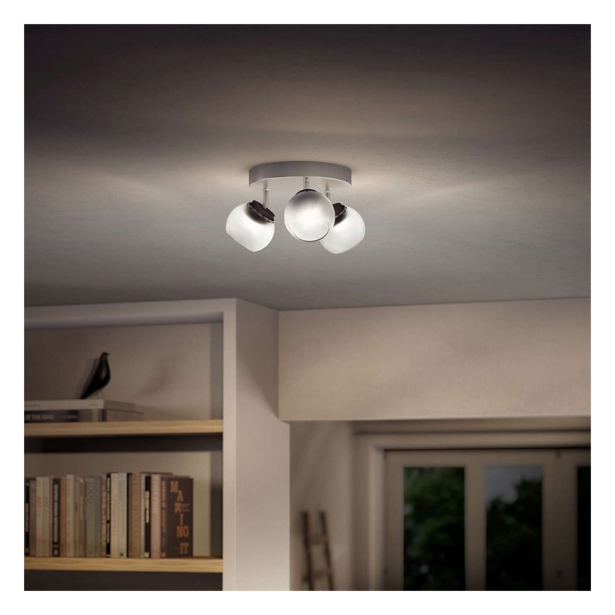 Philips - Akcentinis LED šviestuvas 3xLED/4W/230V