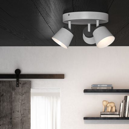 Philips - Akcentinis LED šviestuvas 3xLED/4W/230V