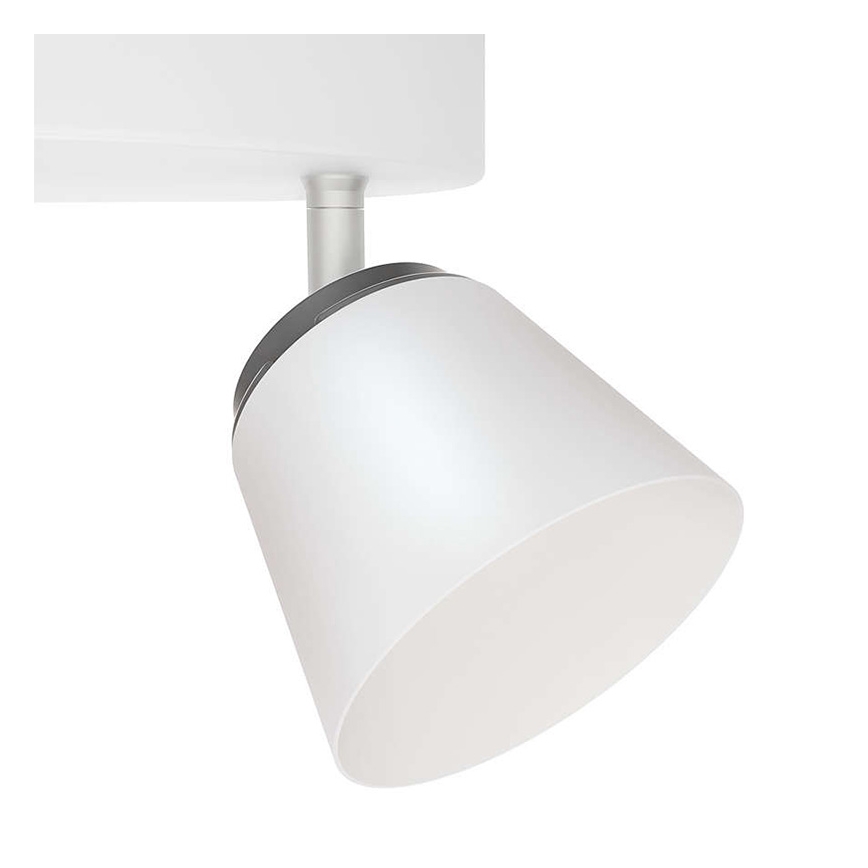 Philips - Akcentinis LED šviestuvas 4xLED/4W/230V