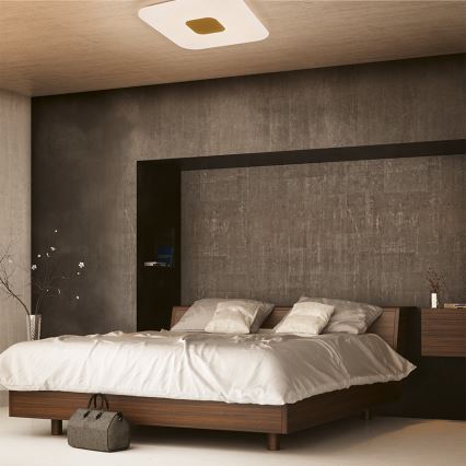 Philips - LED reguliuojamas lubų šviestuvas LED/75W/230V + nuotolinio valdymo pultas