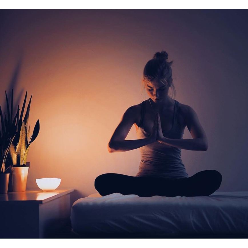 Philips - Reguliuojama stalinė lempa Hue GO GO 1xLED/6W/RGB