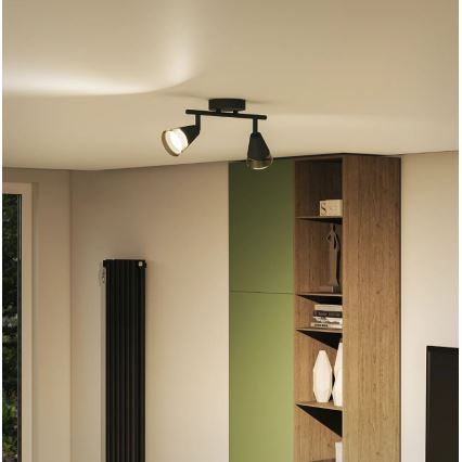 Philips - Akcentinis apšvietimas CLEFT 2xGU10/5W/230V