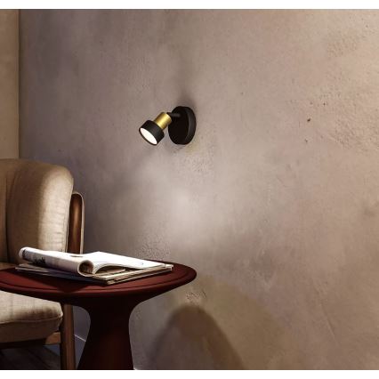 Philips - Akcentinis apšvietimas CONDUIT 1xGU10/5W/230V juoda/žalvaris