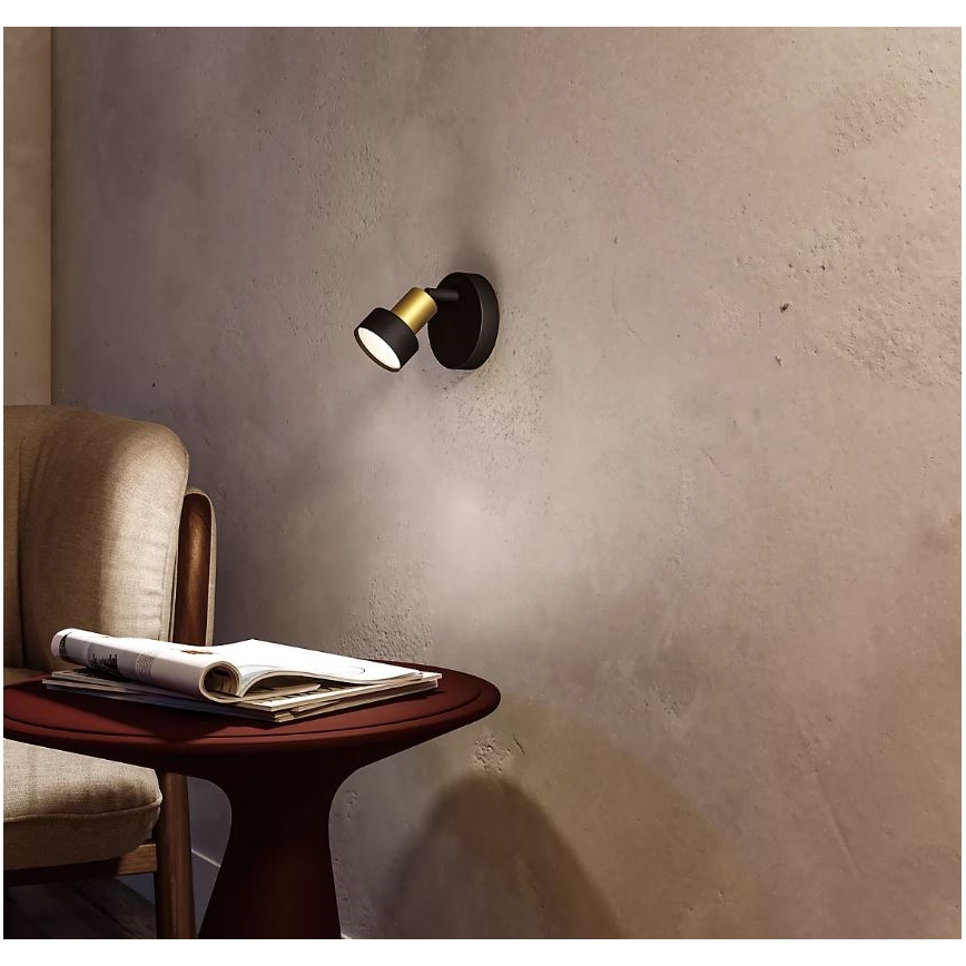 Philips - Akcentinis apšvietimas CONDUIT 1xGU10/5W/230V juoda/žalvaris
