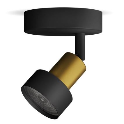 Philips - Akcentinis apšvietimas CONDUIT 1xGU10/5W/230V juoda/žalvaris