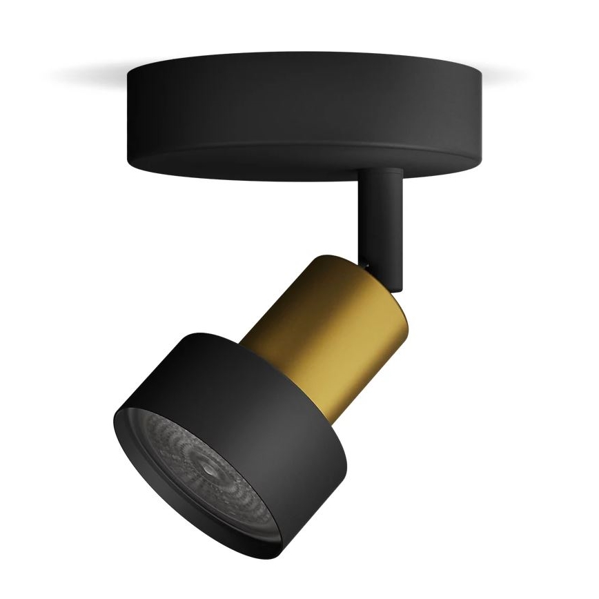 Philips - Akcentinis apšvietimas CONDUIT 1xGU10/5W/230V juoda/žalvaris