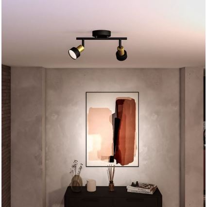 Philips - Akcentinis apšvietimas CONDUIT 2xGU10/5W/230V juoda/žalvaris