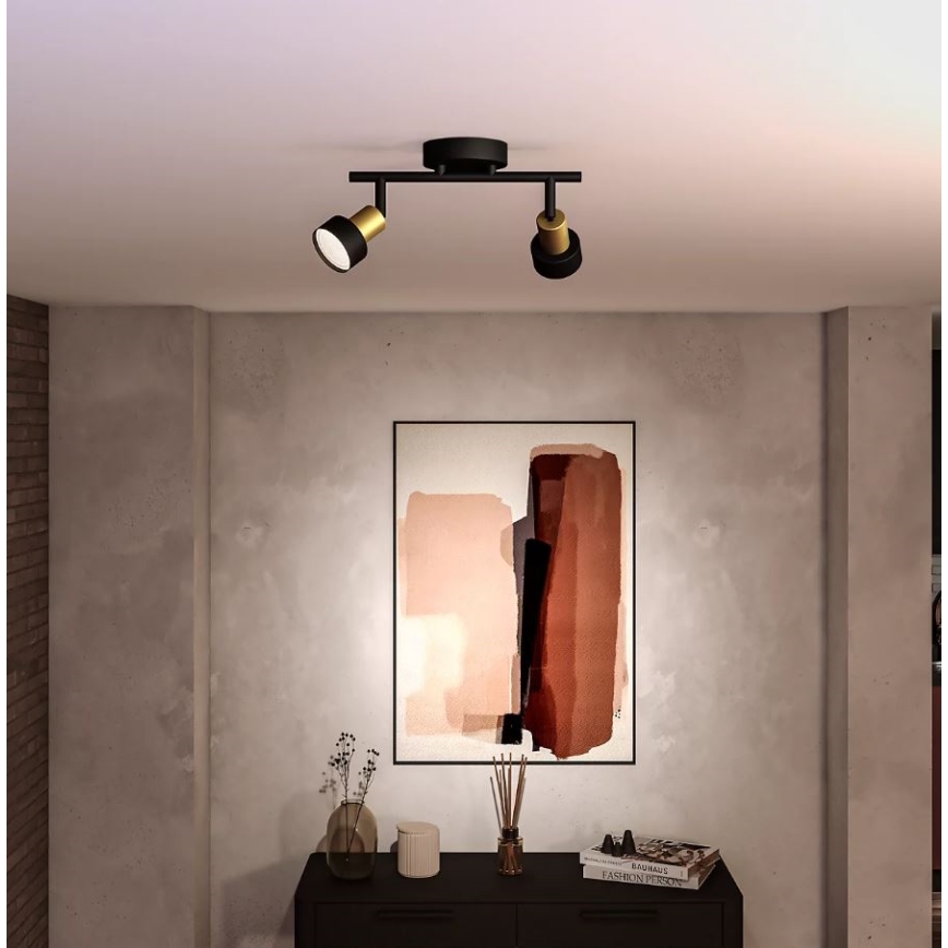 Philips - Akcentinis apšvietimas CONDUIT 2xGU10/5W/230V juoda/žalvaris