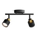 Philips - Akcentinis apšvietimas NIALL 2xGU10/5W/230V juoda/žalvaris