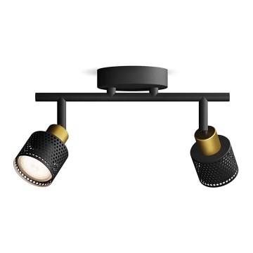 Philips - Akcentinis apšvietimas NIALL 2xGU10/5W/230V juoda/žalvaris