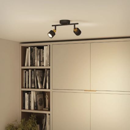 Philips - Akcentinis apšvietimas NIALL 2xGU10/5W/230V juoda/žalvaris