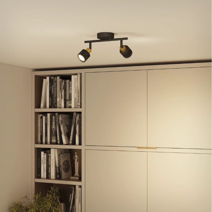 Philips - Akcentinis apšvietimas NIALL 2xGU10/5W/230V juoda/žalvaris