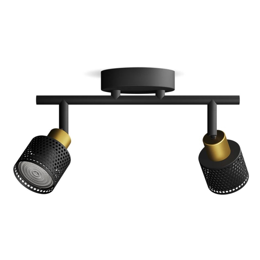 Philips - Akcentinis apšvietimas NIALL 2xGU10/5W/230V juoda/žalvaris