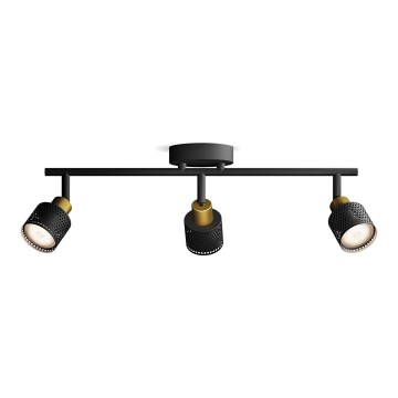Philips - Akcentinis apšvietimas NIALL 3xGU10/5W/230V juoda/žalvaris