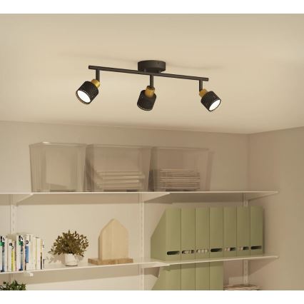 Philips - Akcentinis apšvietimas NIALL 3xGU10/5W/230V juoda/žalvaris