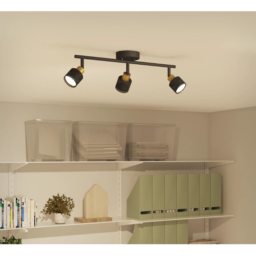 Philips - Akcentinis apšvietimas NIALL 3xGU10/5W/230V juoda/žalvaris