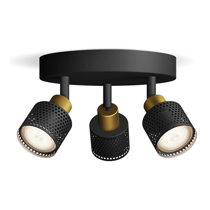 Philips - Akcentinis apšvietimas NIALL 3xGU10/5W/230V juoda/žalvaris