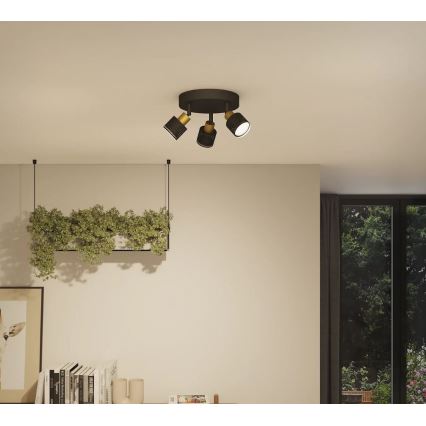 Philips - Akcentinis apšvietimas NIALL 3xGU10/5W/230V juoda/žalvaris