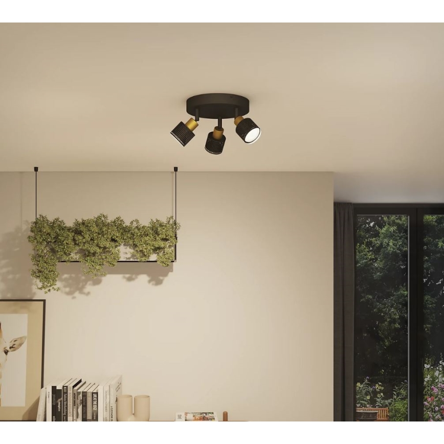 Philips - Akcentinis apšvietimas NIALL 3xGU10/5W/230V juoda/žalvaris
