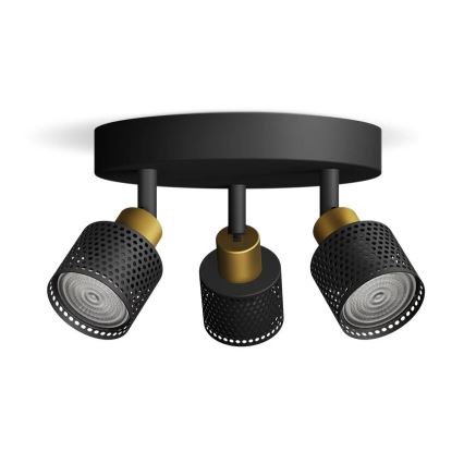 Philips - Akcentinis apšvietimas NIALL 3xGU10/5W/230V juoda/žalvaris