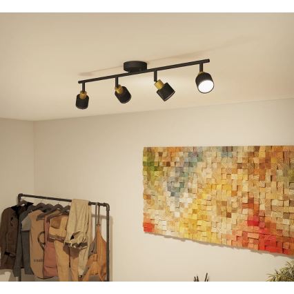 Philips - Akcentinis apšvietimas NIALL 4xGU10/5W/230V juoda/žalvaris