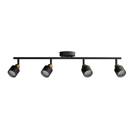 Philips - Akcentinis apšvietimas NIALL 4xGU10/5W/230V juoda/žalvaris