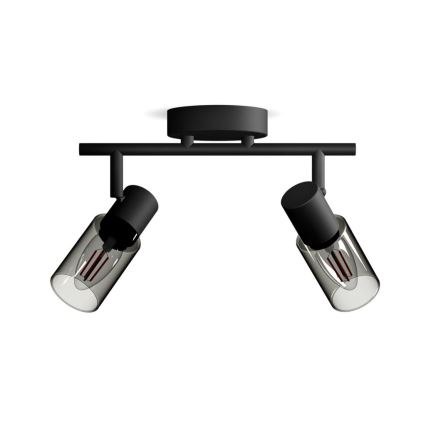 Philips - Akcentinis apšvietimas PALMS 2xE14/25W/230V