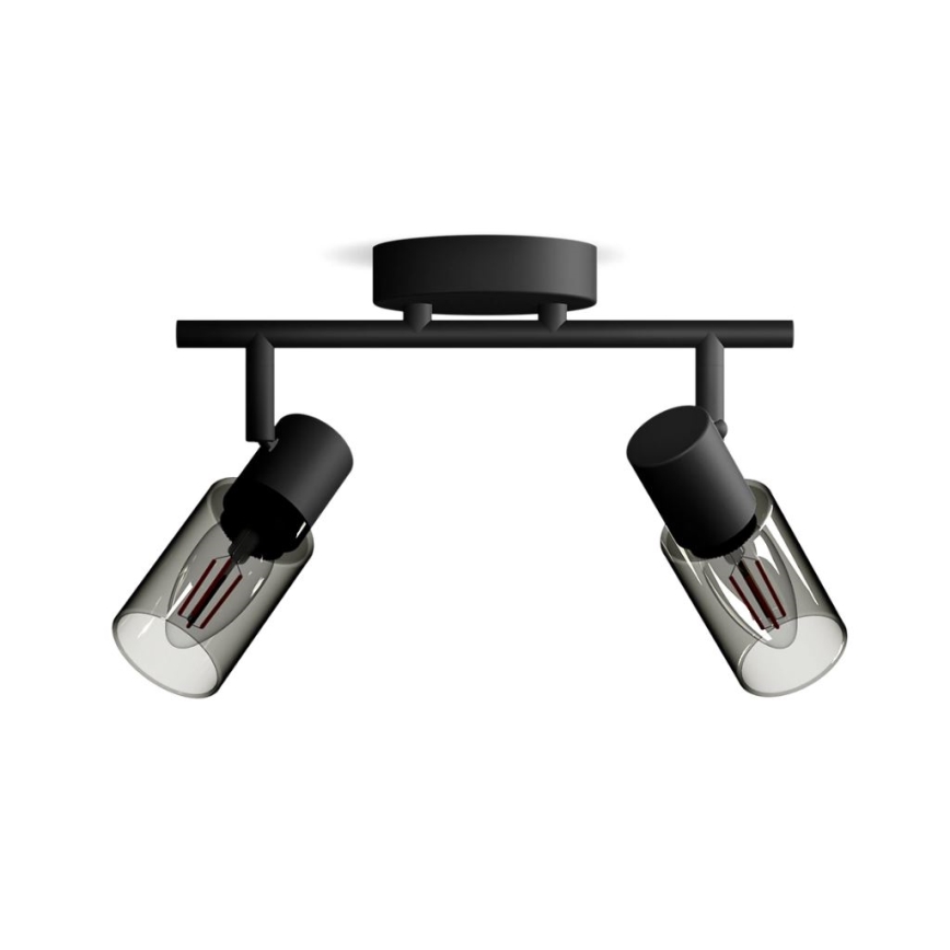 Philips - Akcentinis apšvietimas PALMS 2xE14/25W/230V