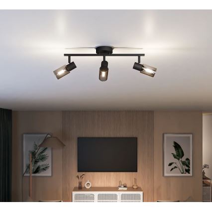 Philips - Akcentinis apšvietimas PALMS 3xE14/25W/230V