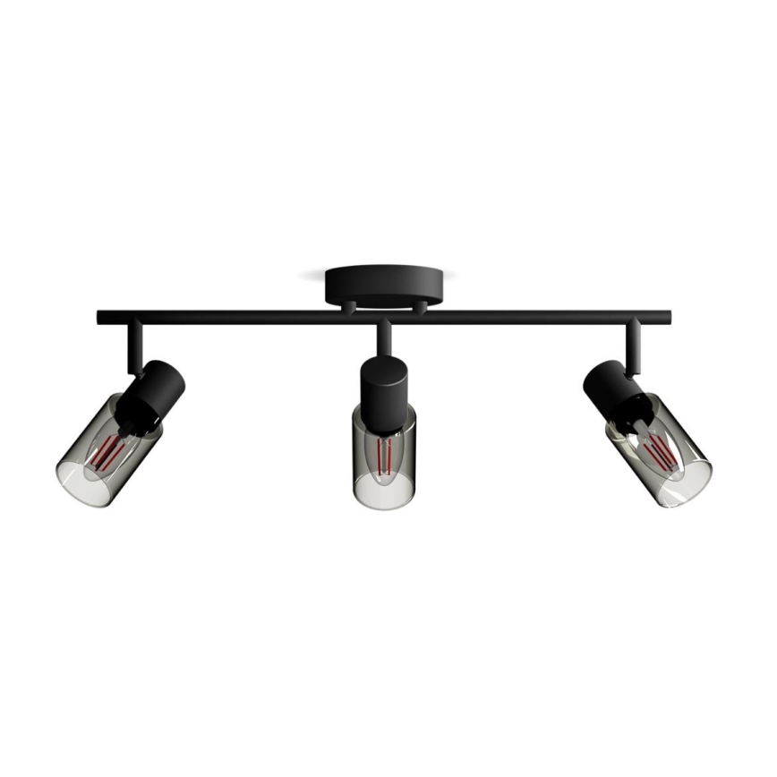 Philips - Akcentinis apšvietimas PALMS 3xE14/25W/230V