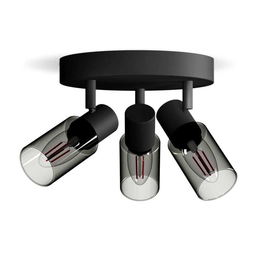 Philips - Akcentinis apšvietimas PALMS 3xE14/25W/230V