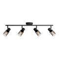 Philips - Akcentinis apšvietimas PALMS 4xE14/25W/230V