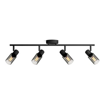 Philips - Akcentinis apšvietimas PALMS 4xE14/25W/230V