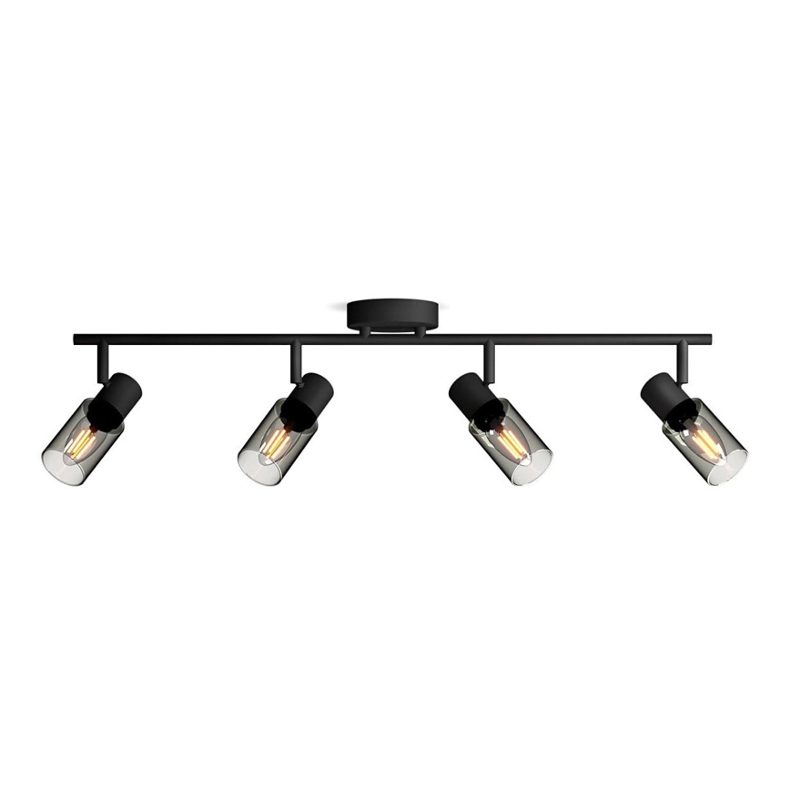 Philips - Akcentinis apšvietimas PALMS 4xE14/25W/230V