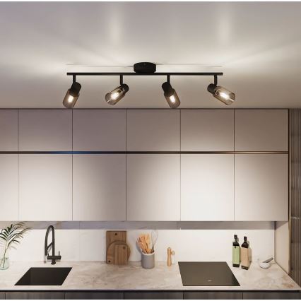 Philips - Akcentinis apšvietimas PALMS 4xE14/25W/230V