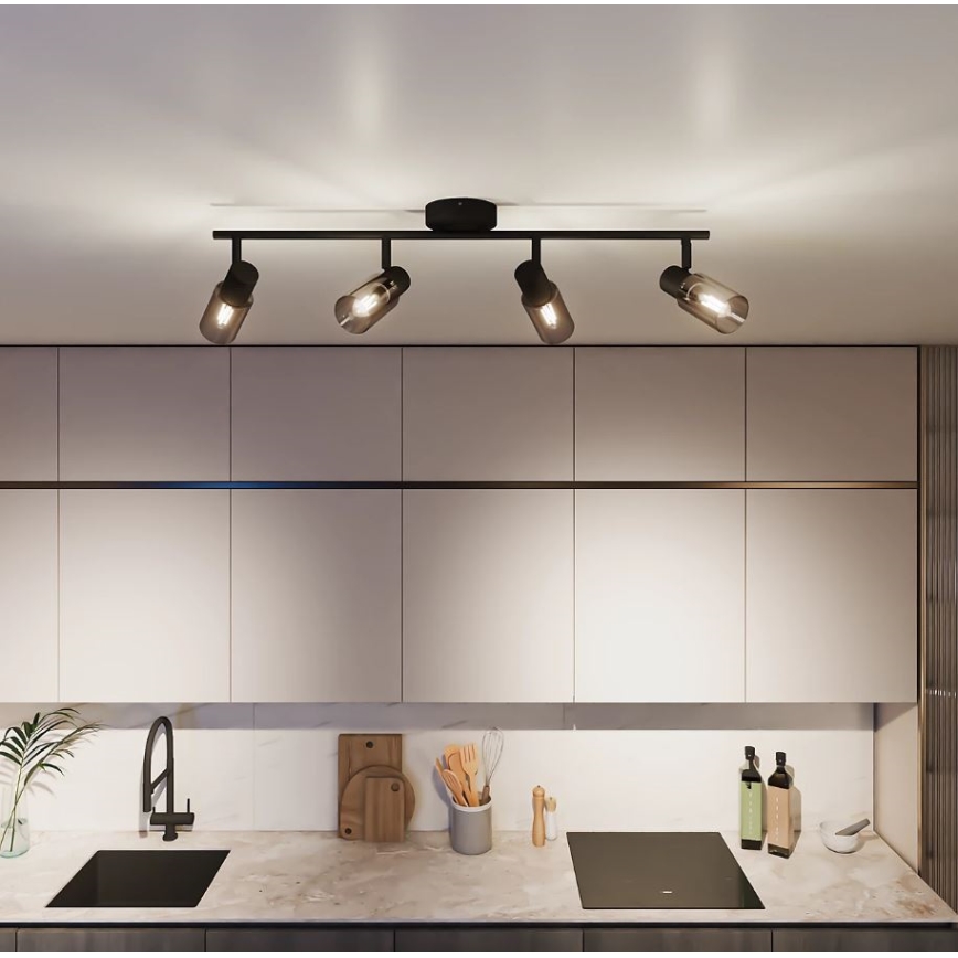 Philips - Akcentinis apšvietimas PALMS 4xE14/25W/230V