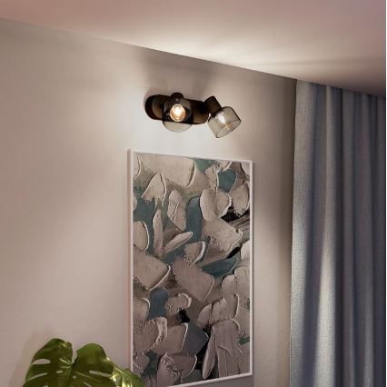 Philips - Akcentinis apšvietimas SLEET 2xE14/25W/230V